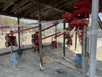  5 Cage Batting System - General Area/Equipment -  - Classifieds -General Area/Equipment - Ski Area Management