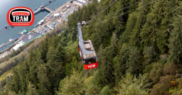 Tram Maintenance Manager