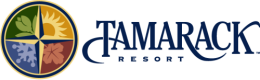 Lift Electrician and Lift Maintenance Manager