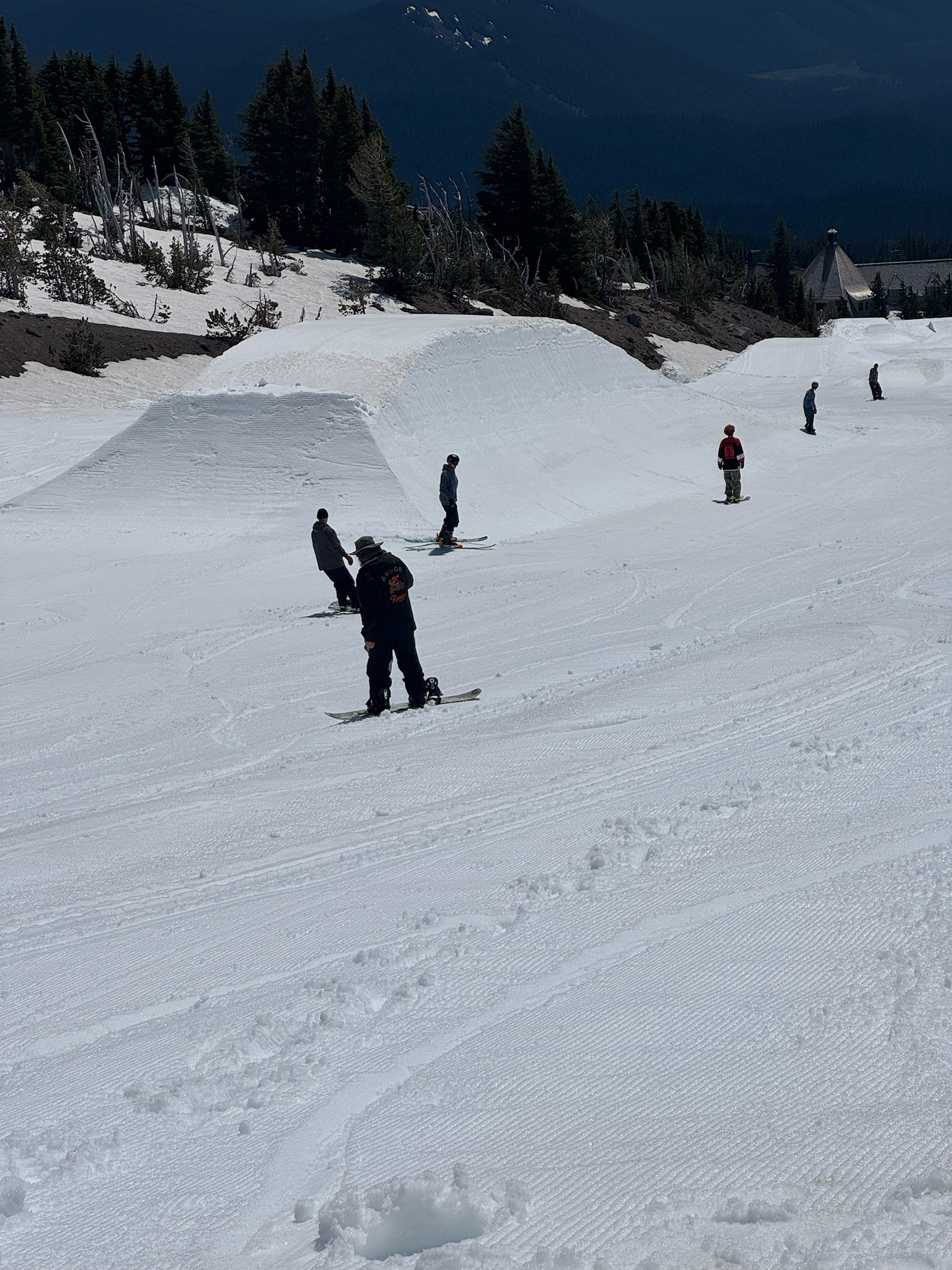 IMG 3683
