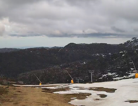 Perisher BlueCow Sept26