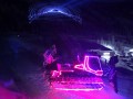 IMG 4557
