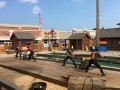 IMG 0008 copy