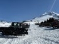 IMG 0551