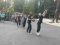 IMG 7348