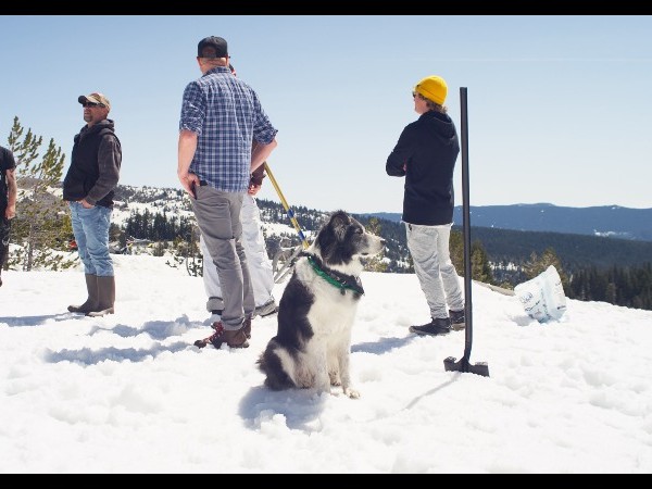 camden west  still 2025 05 0872055.25.1 camden west  still 2025 05 0872055.25.1