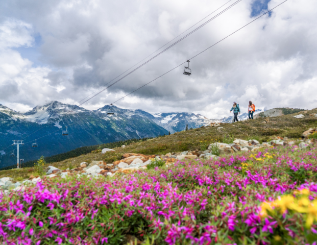 The Wisdom of Whistler Blackcomb