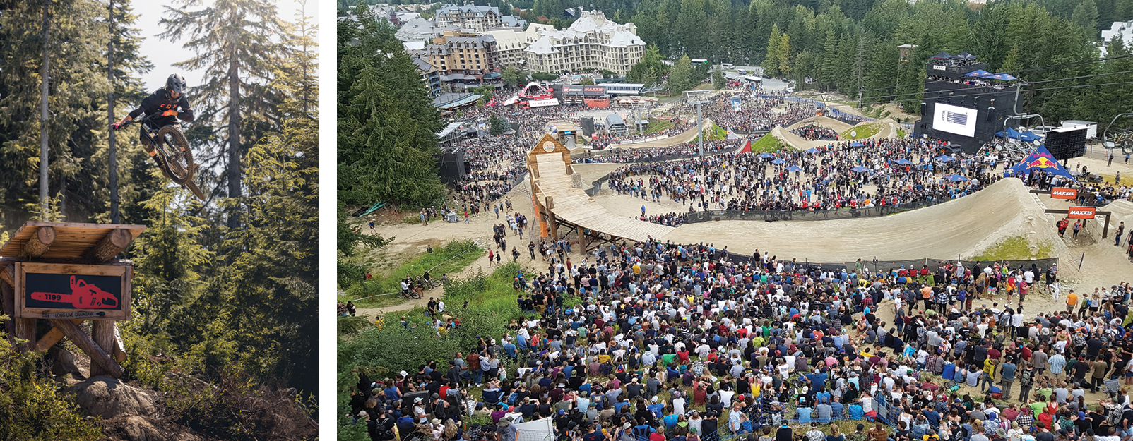 Whistler Image