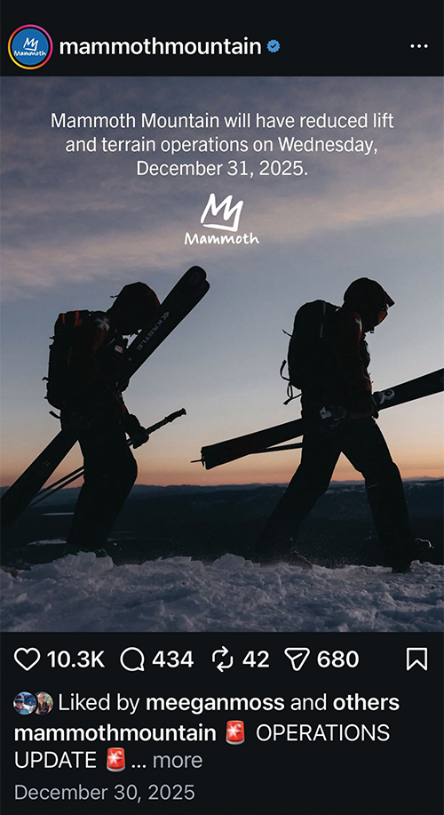 Mammoth Shayna Silverman