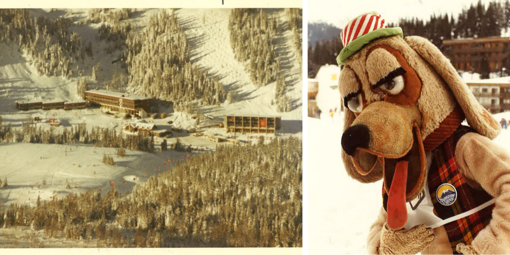 Sunshine Brand Identity 1000 x 500 px