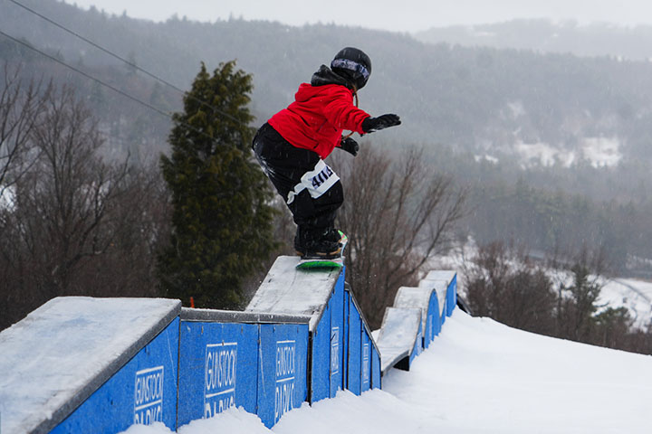 Feature Boxzilla Gunstock