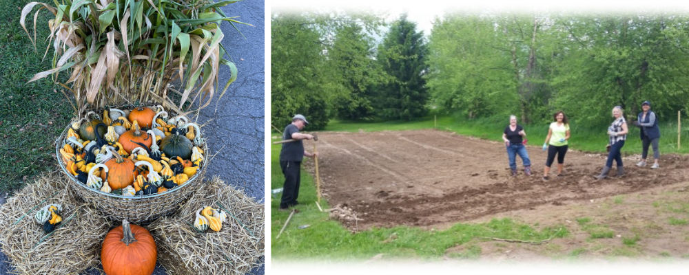 Wisp Employee Benefits