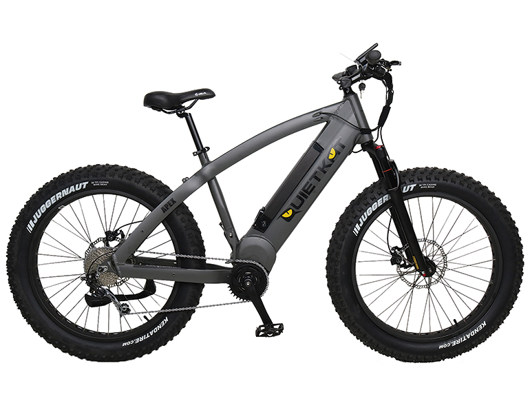 jan19 ebikes 01