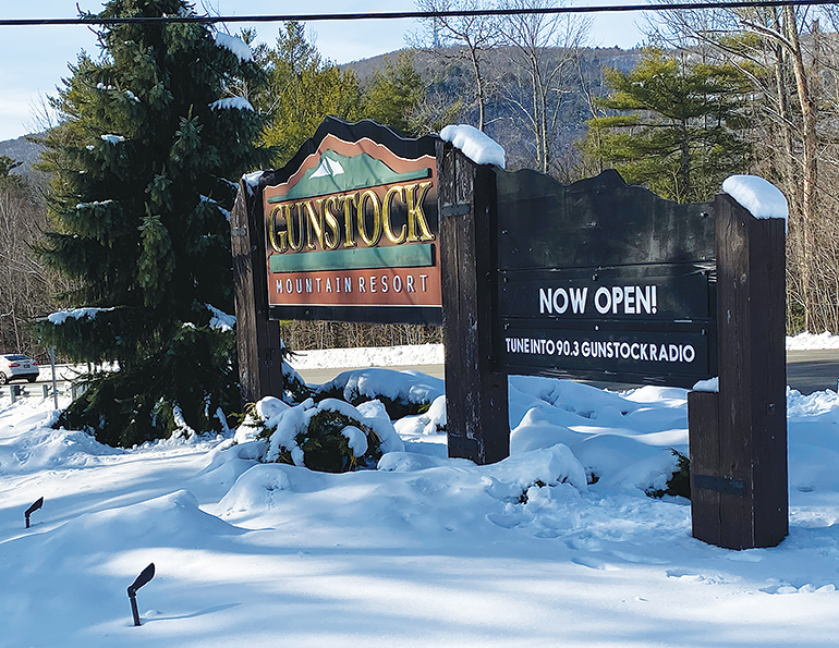 jan21 nv gunstock