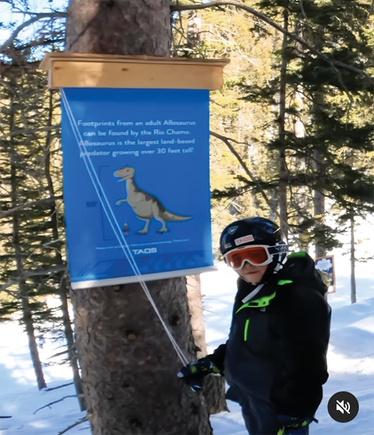 may24 bestworst introduce tree skiing