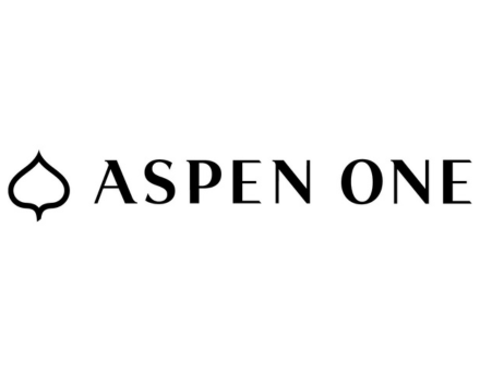 Aspen One