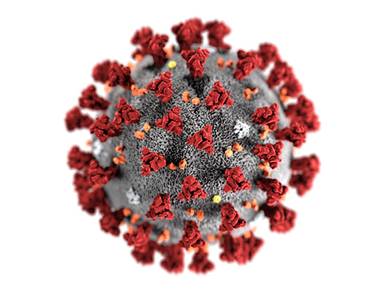 Coronavirus CDC websize