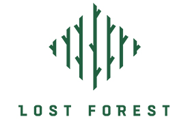 HN LostForestLogo 3918