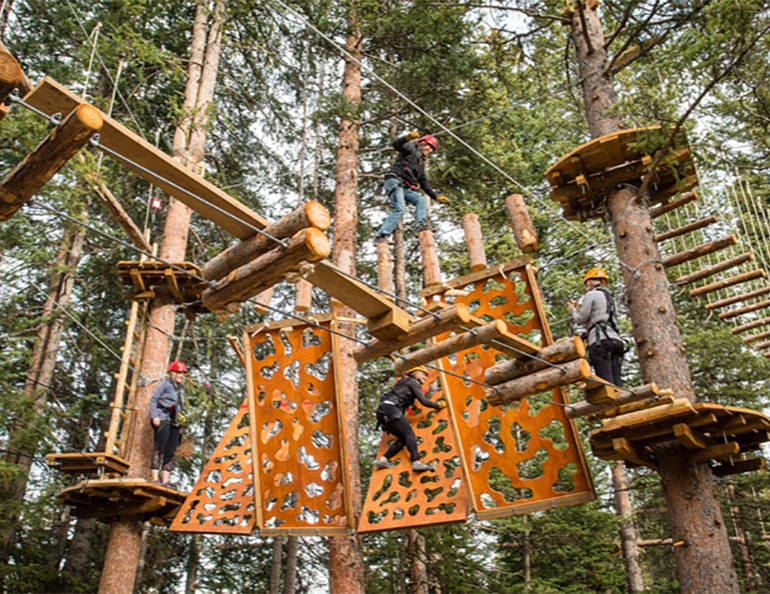 lost forest aspen snowmass