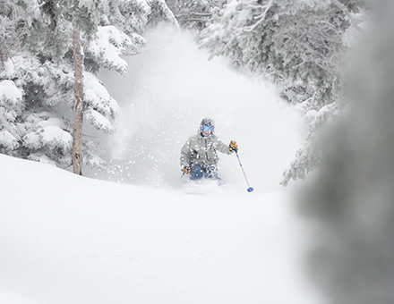  Faces and Places - Ski Area Management