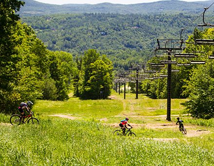 Okemo Mtn bike trails