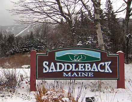 SaddlebackHNweb