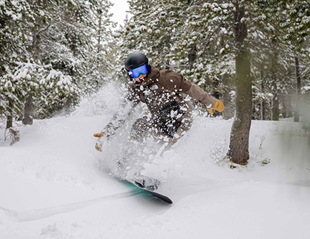 Schweitzer Presidents