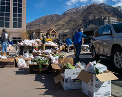 SnowbirdFoodDrive250