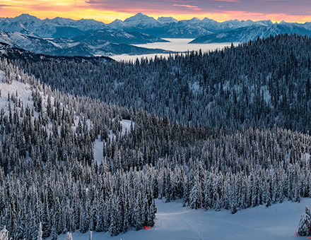 Whitefish Holiday HN