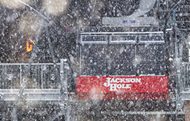 jacksonhole esize