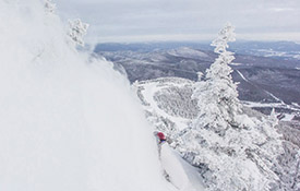 jaypeak esize