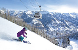 telluride esize