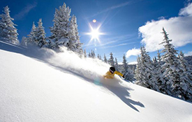 vailresorts emailsize