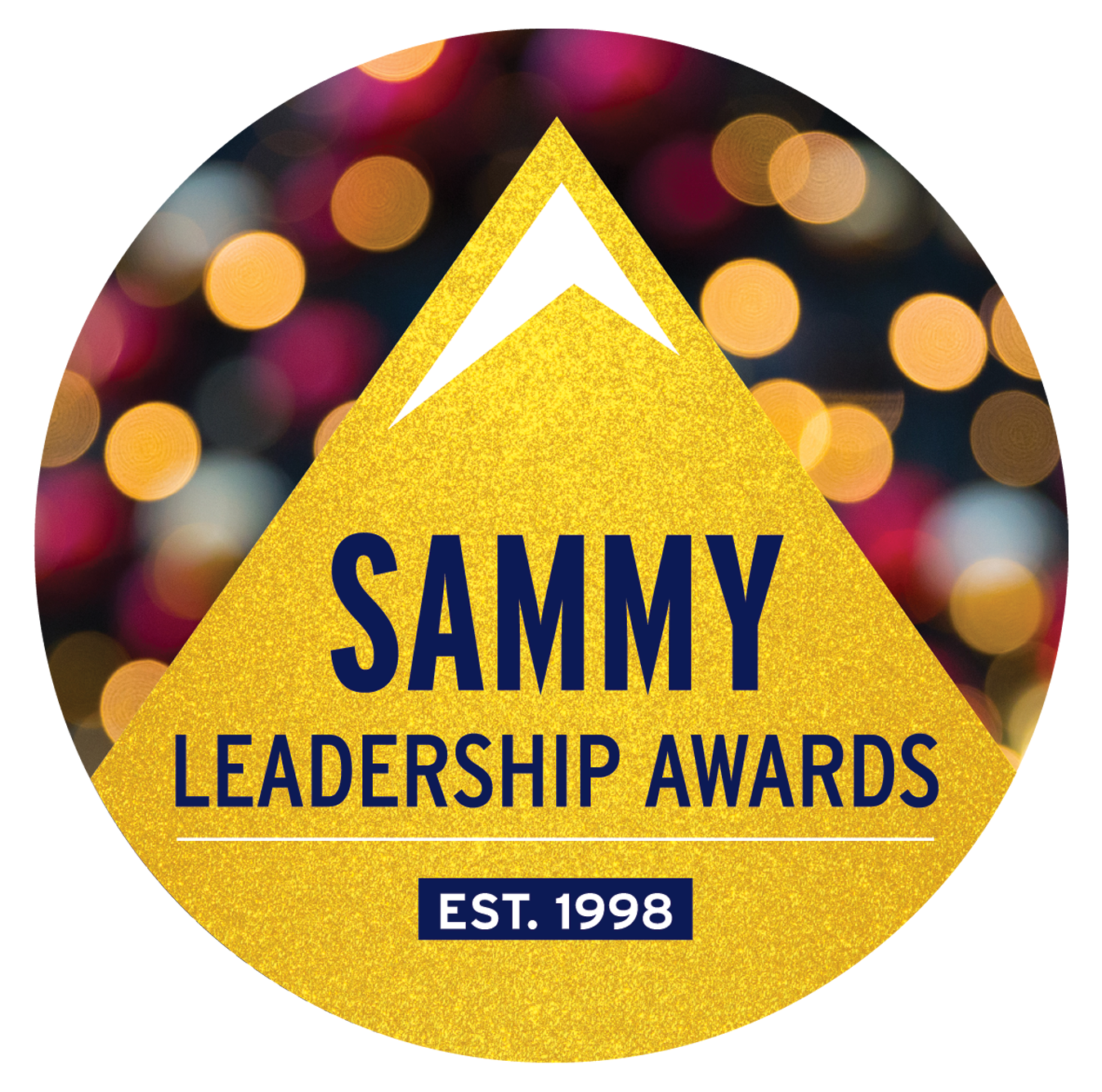  Article - Ski Area Management