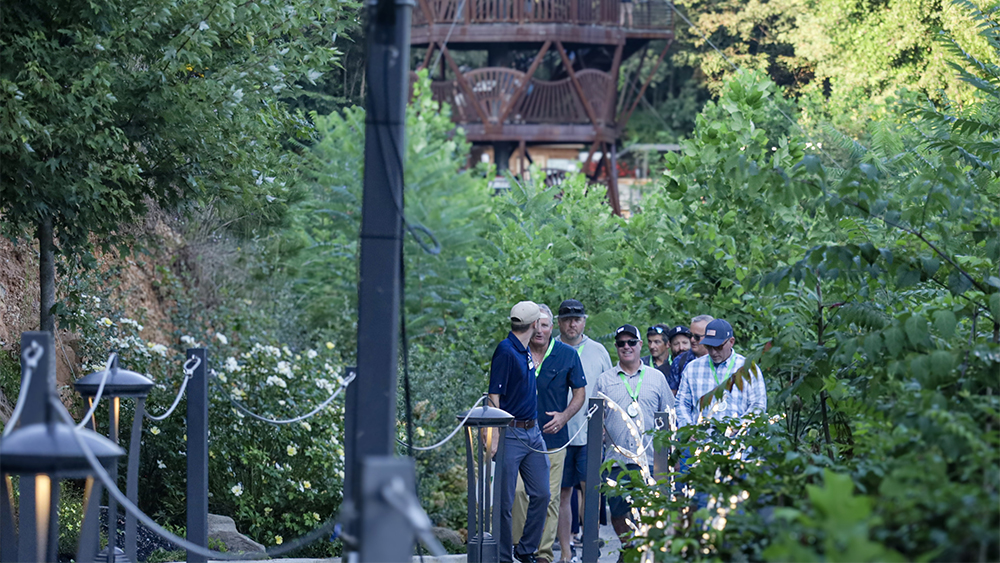 IMG 0208 1 1 Copy