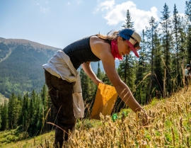 ECO TIP :: Soil Restoration for Biodiversity — and Carbon Sequestration