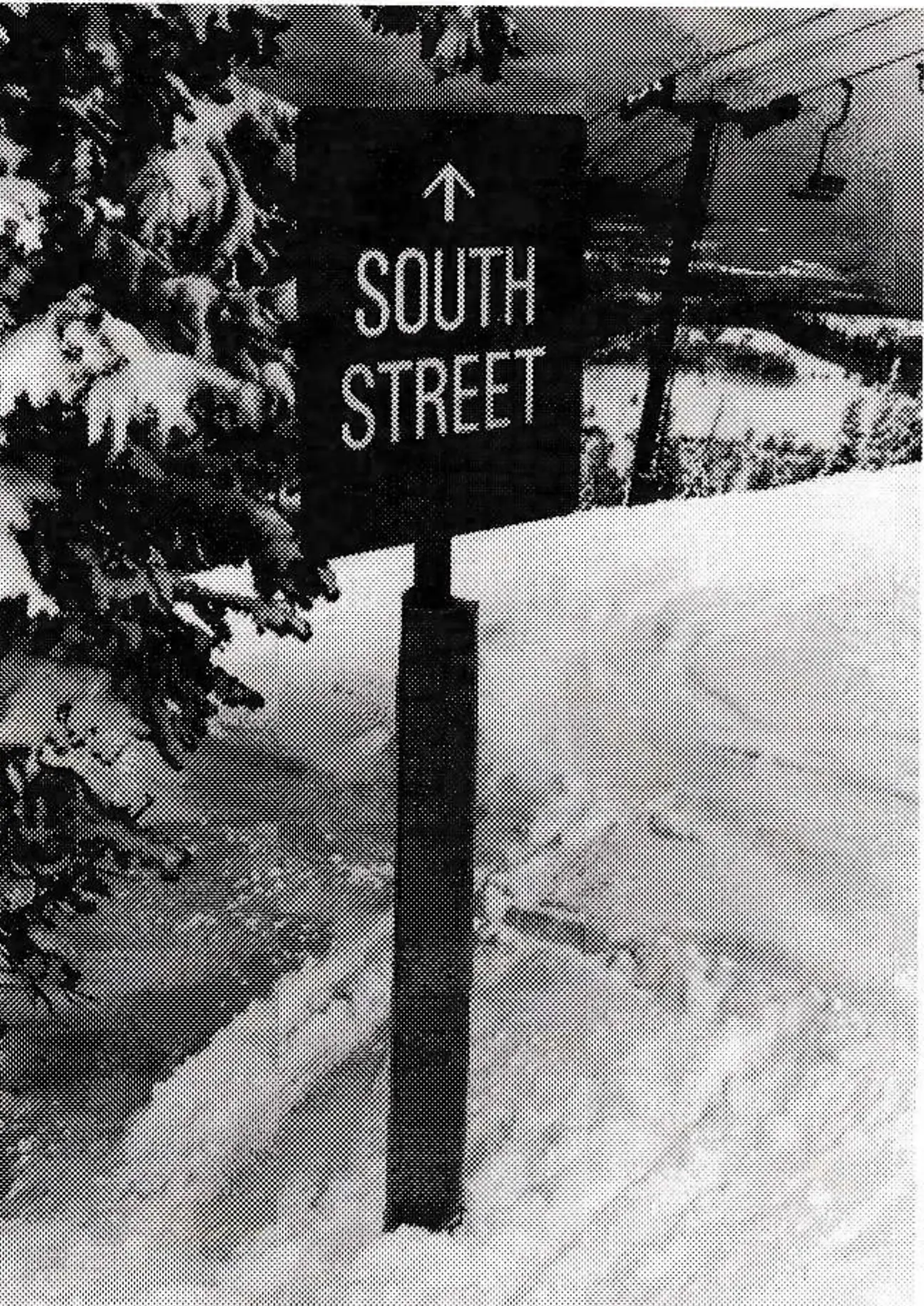 Sign Posts: Light, Versatile And Easy