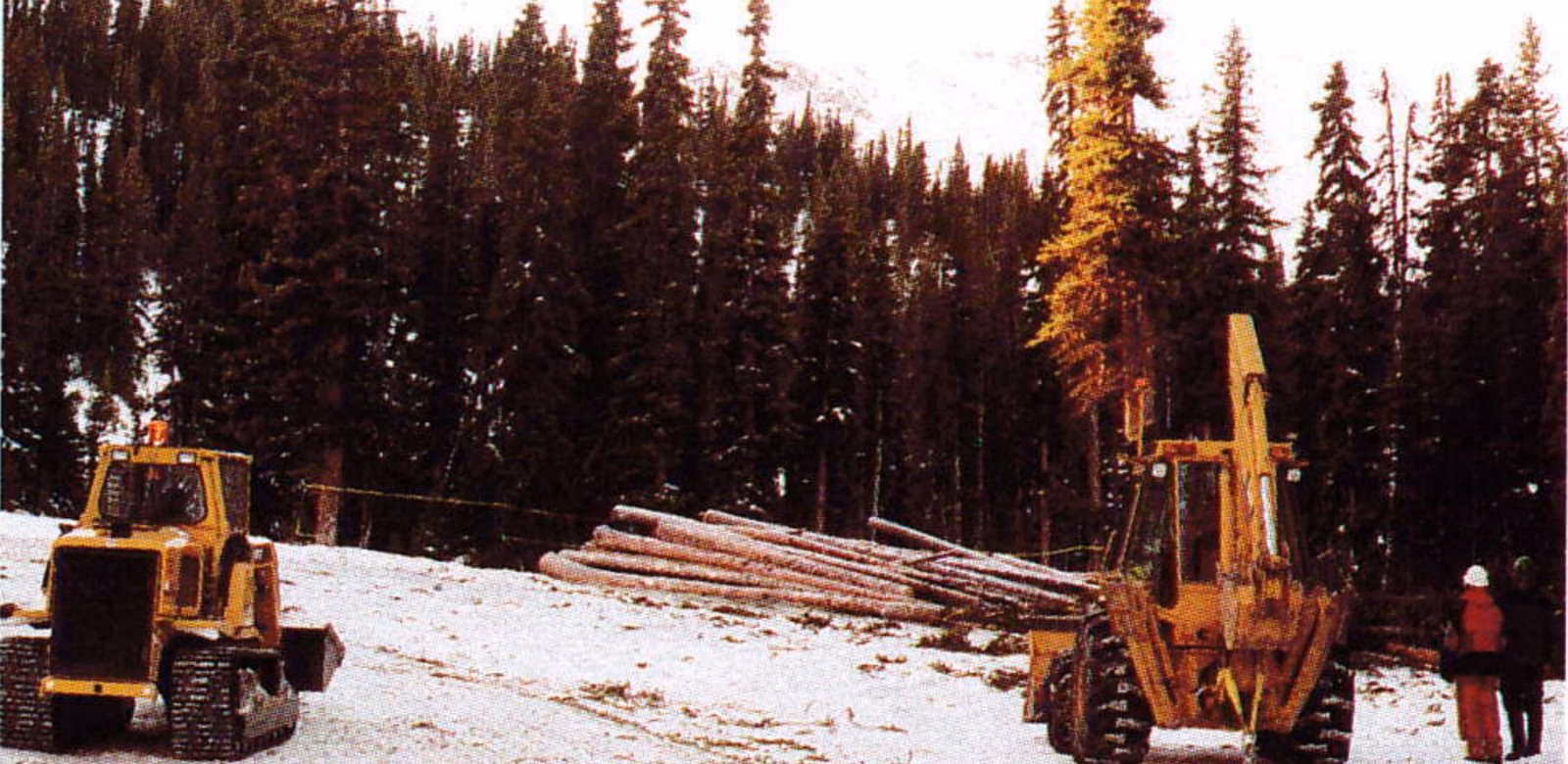 A Bobcat and backhoe worked together at the landing site to move logs so the chopper would never have to wait for the drop zone to be cleared.
