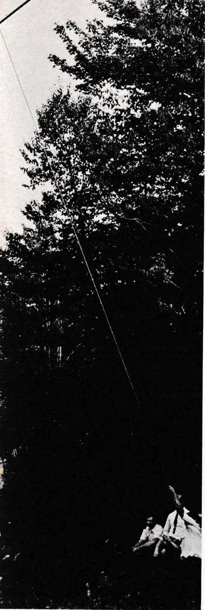 Chairlift evacuation by rope and harness.