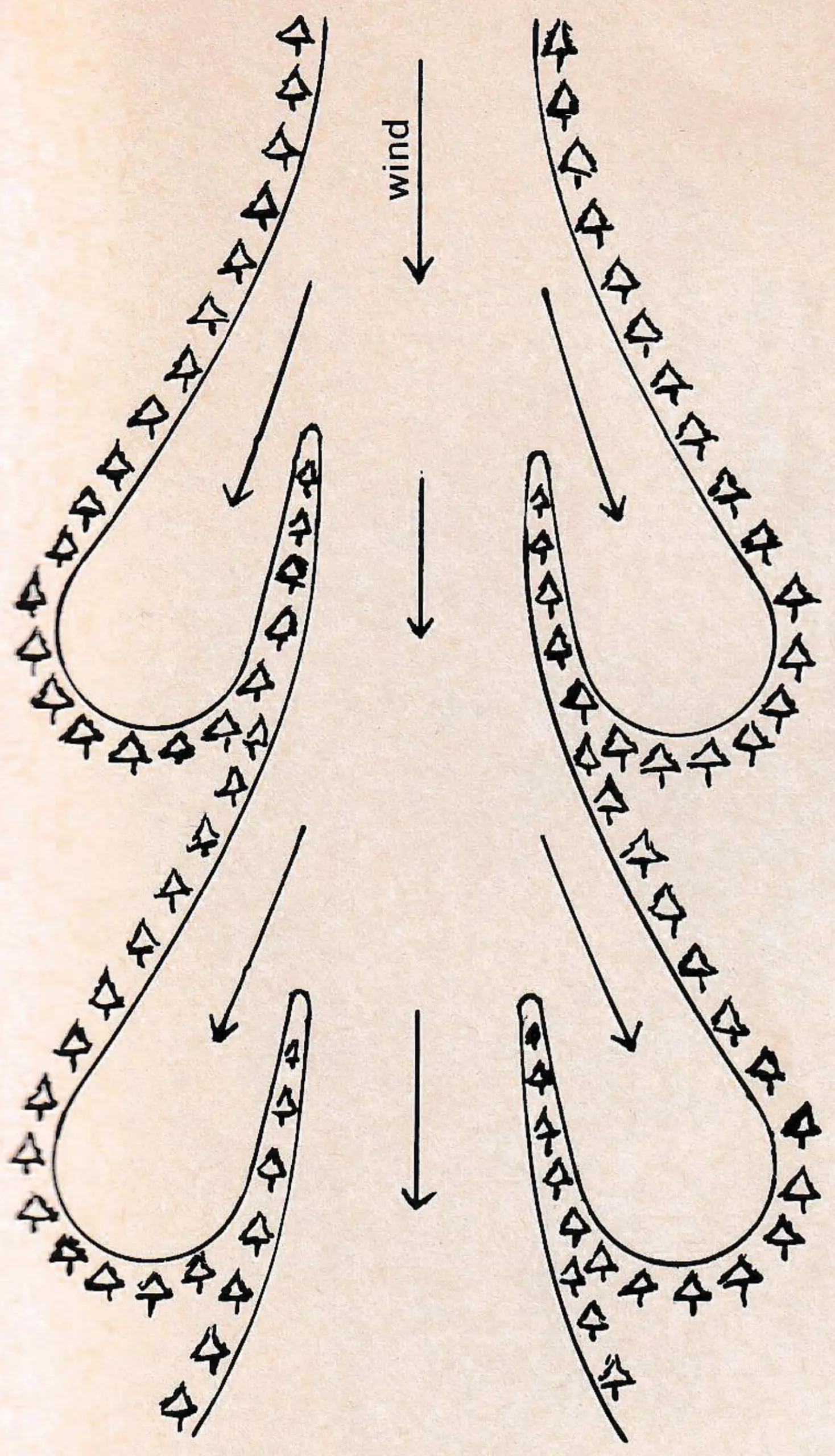 FIG. 4—Wind diffusion using bays.