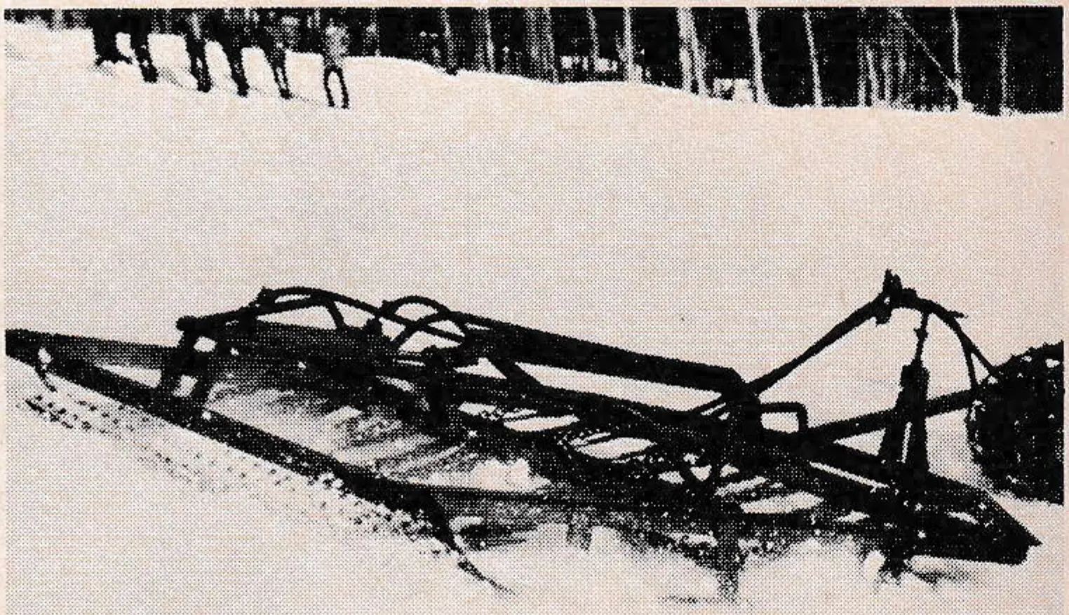 Reynolds' Catamount spikes penetrate snow.