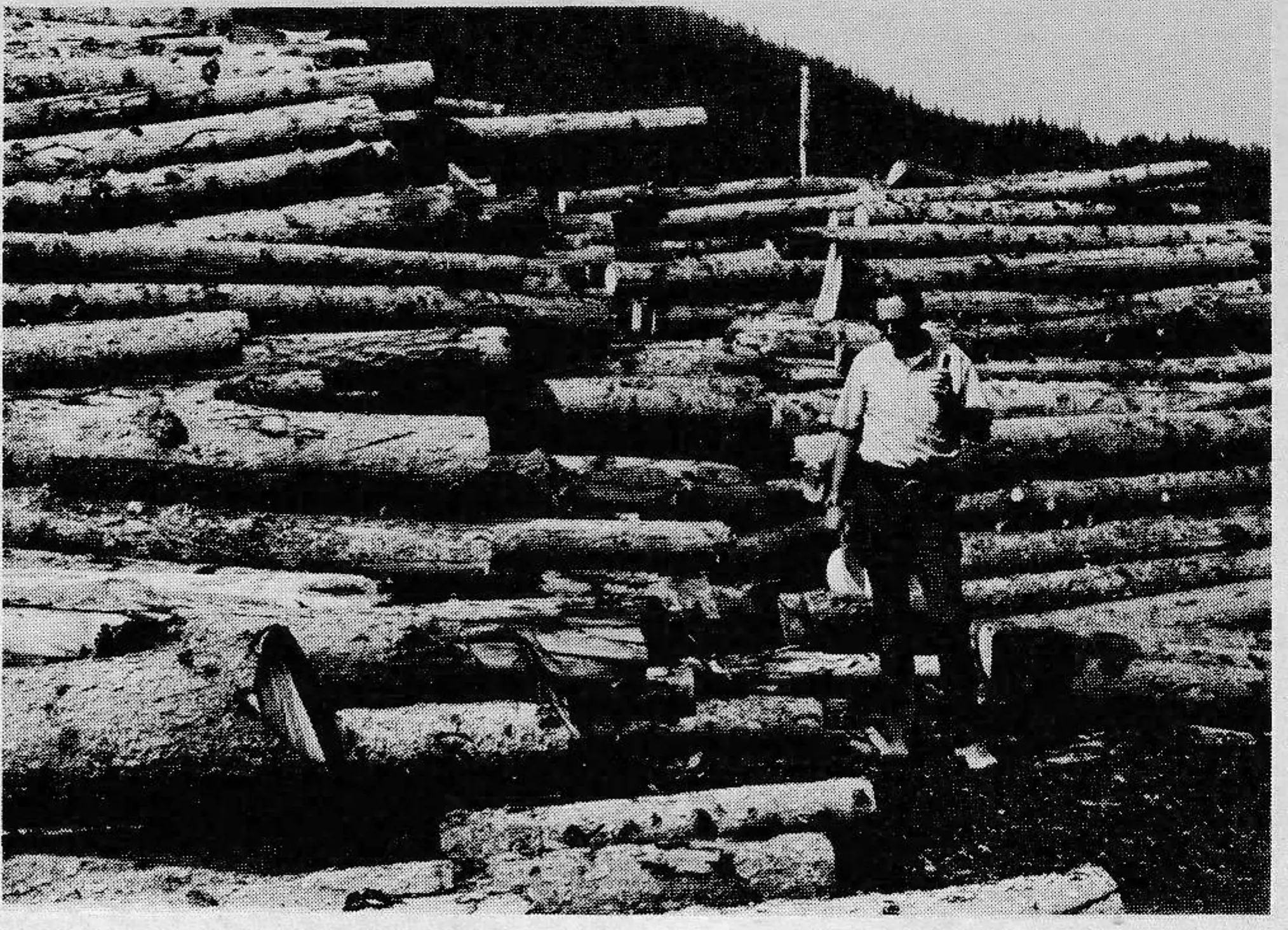 What to do with trail timber? If you're Chuck Lewis, you build a mill and start your own lumber company. Result: all the construction wood you need.