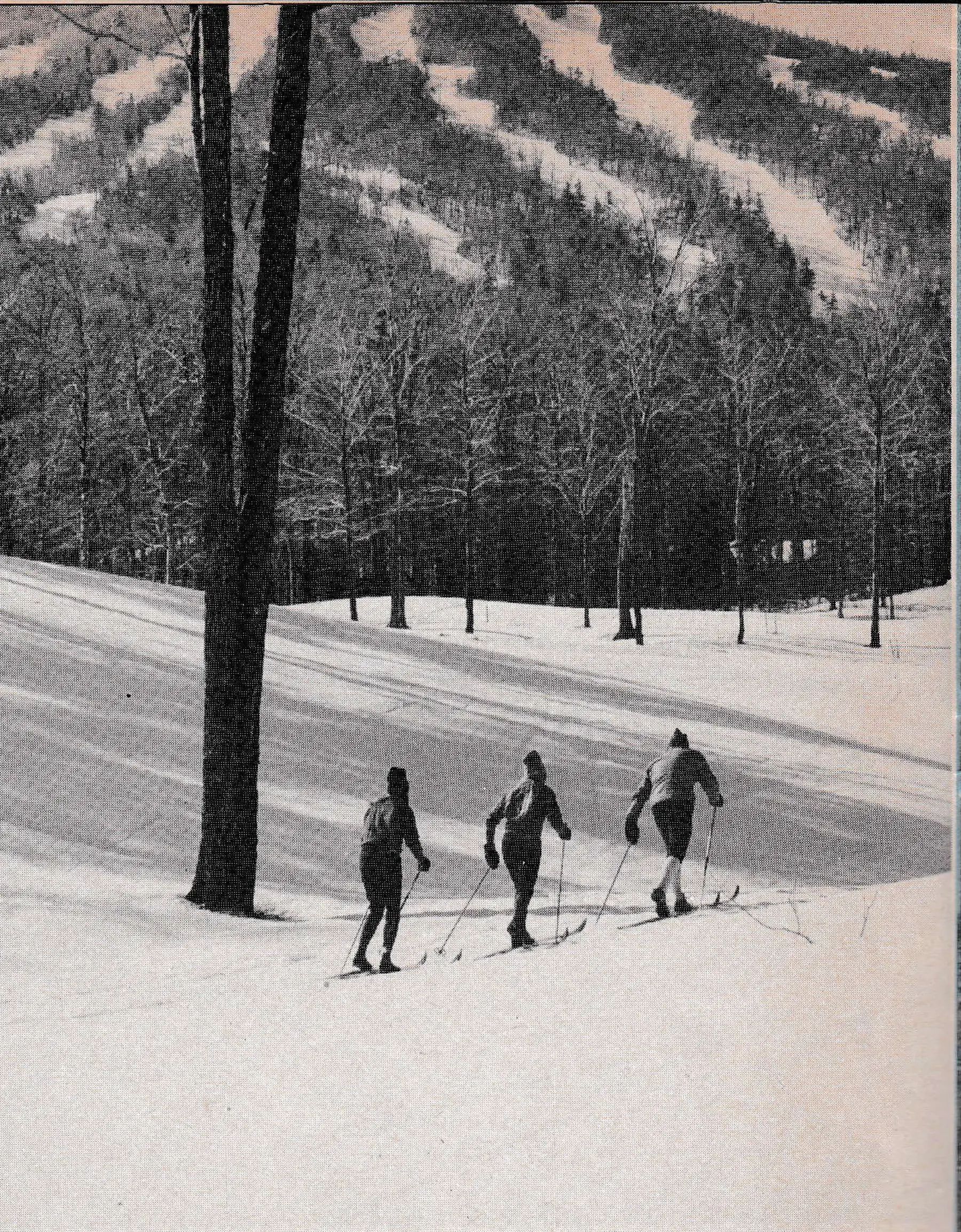 Cross Country– How To Make It Work