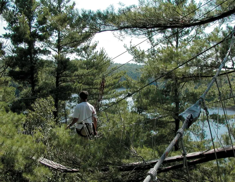 Guide on a suspended canopy walkway among pines
