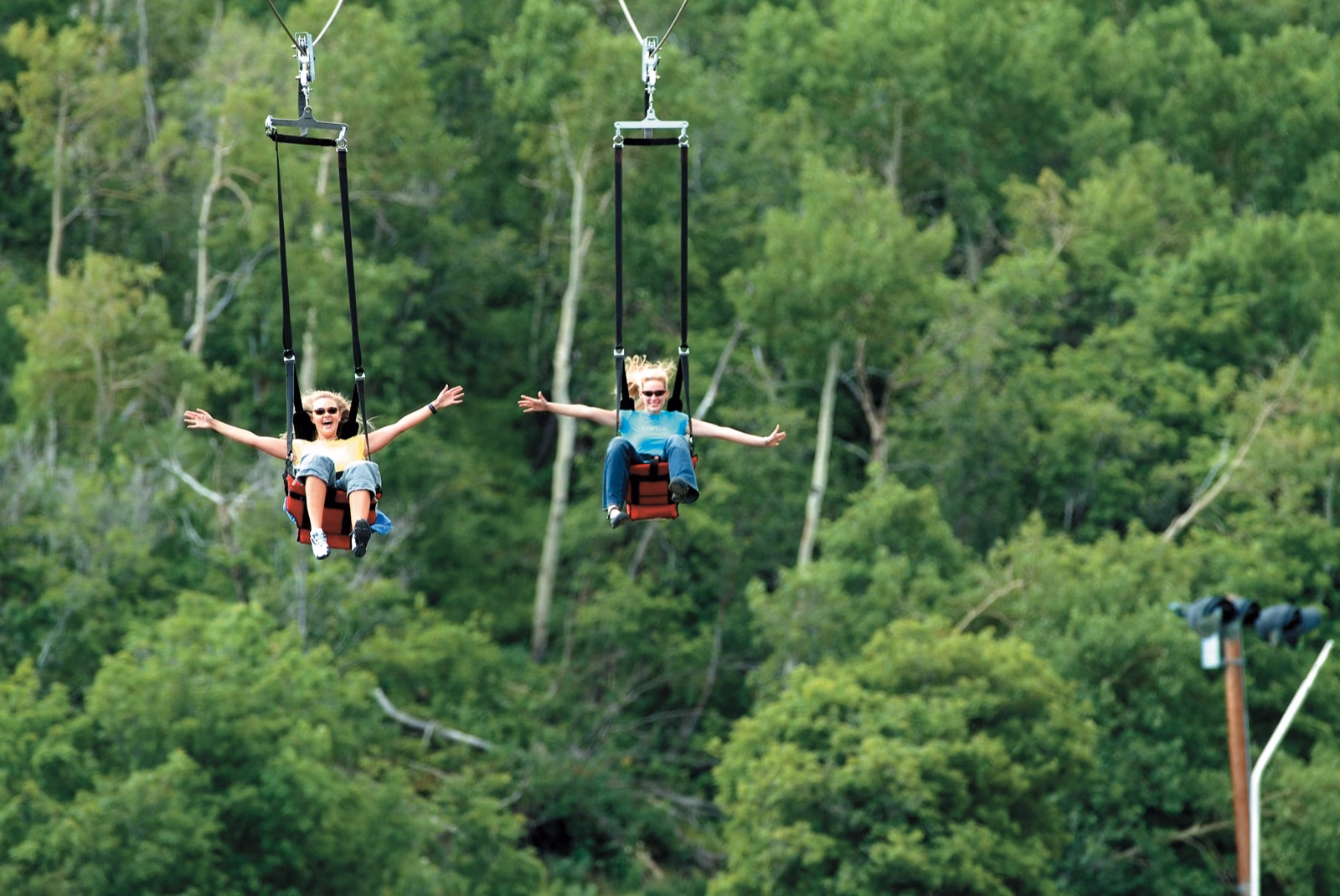 Two riders on a Zip Rider cable above a forest