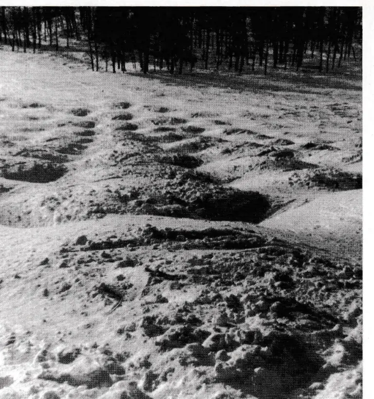 An even pattern of moguls makes skiing them easier and safer