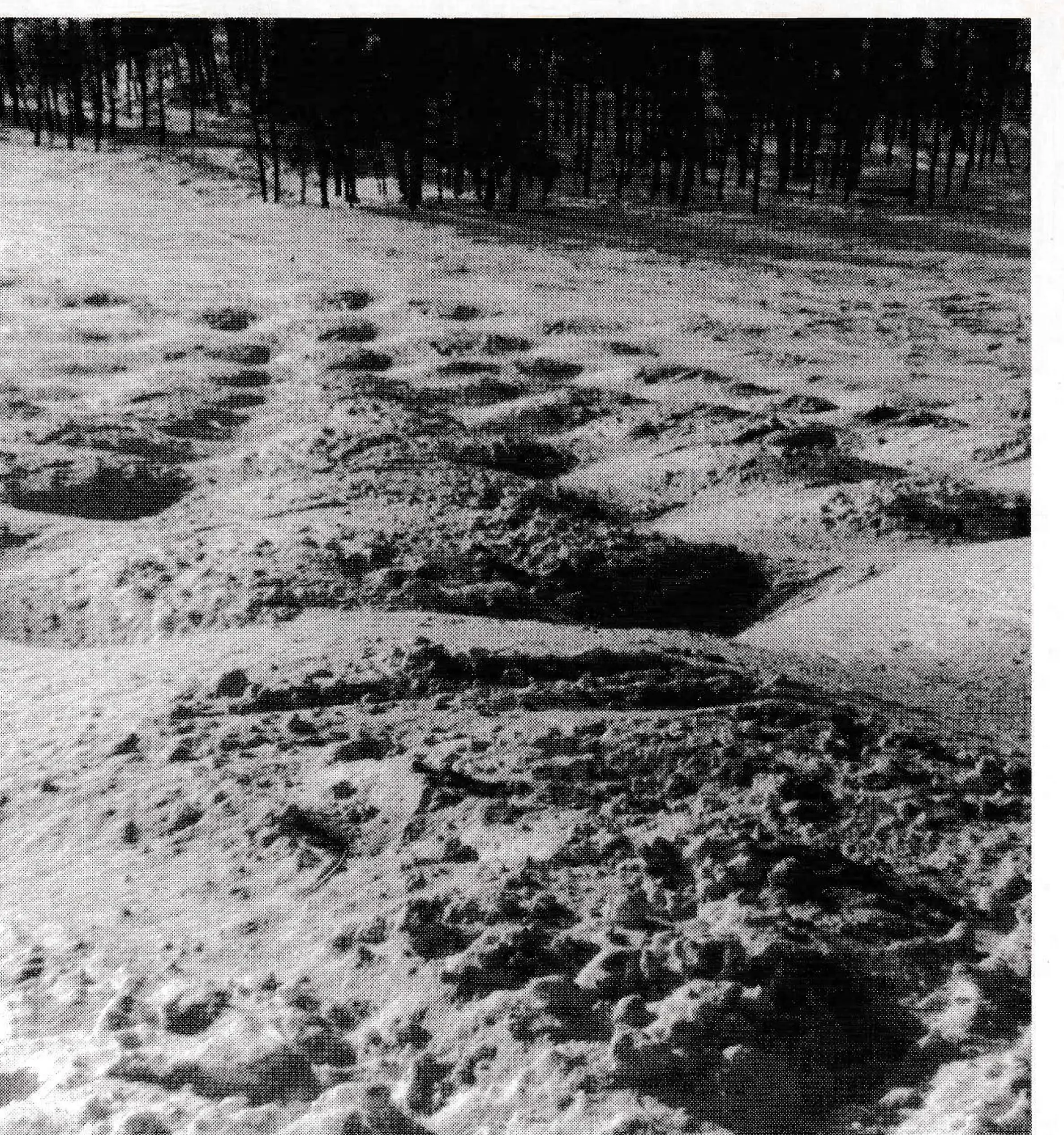 Moguls Made By Machine
