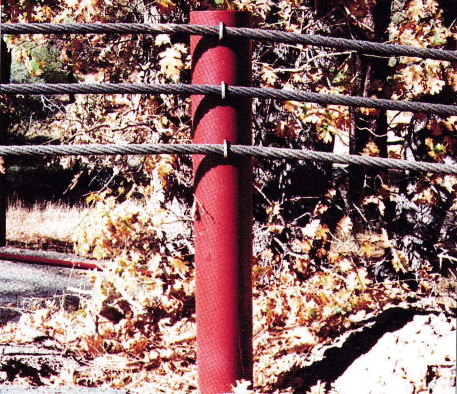 Guard rail made of old lift haul rope strung through red steel posts beside an access road