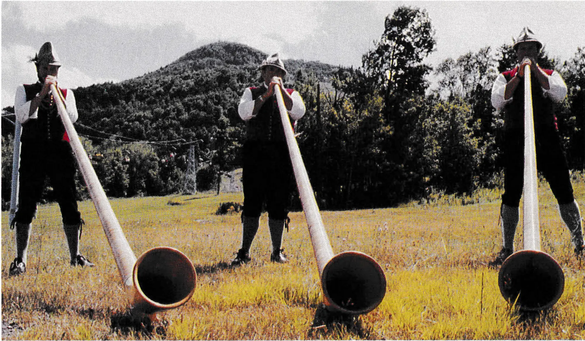German music festival with Alpenhorn players has been a major and growing summer attraction at Hunter Mountain, N.Y., since 1975.