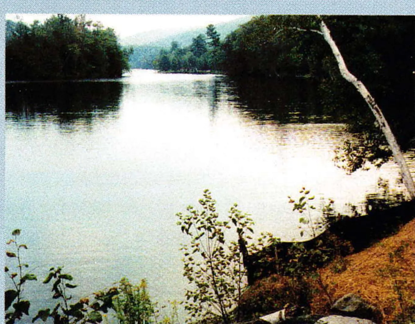 Reservoir shoreline with trees reflected in still water